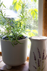 Lavender flowers grow in a white pot on a wooden windowsill. Next to the pot is a decorative jug...