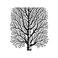 Obraz premium Stylized Black and White Tree Silhouette with Delicate Branches.