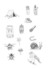 Pen and ink illustration of various camping and nature elements