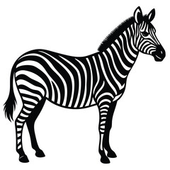 zebra vector art