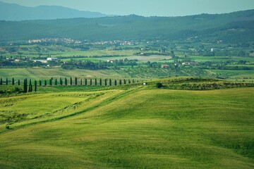 Obraz premium landscape of tuscany