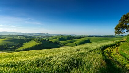 Obraz premium a picturesque scene captures expansive rolling hills and lush fields under a clear blue sky in the countryside