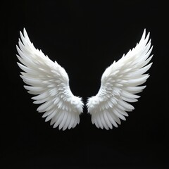 Fototapeta premium Pair of detailed white angel wings isolated on stark black background. Delicate feathers create sense of divine protection, heavenly grace. Graphic element for design, hope, faith, freedom.