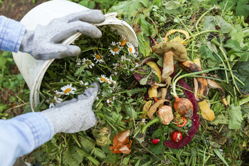 Compost heap pile with bio waste. Farmer with vegetables and fruits food scraps in bucket for compost. Zero waste, composting concept