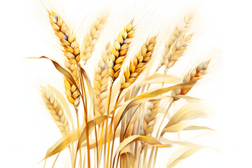 Golden Wheat Stalks Isolated on Transparent Background