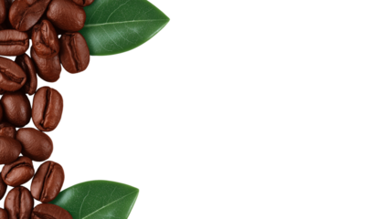 Coffee beans and green leaves on white background

