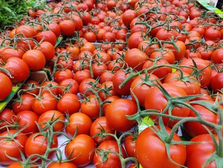 A vibrant sea of ripe tomatoes symbolizes abundance and opportunity, stacked high in a market with a sign reading "Please ask the staff for help," inviting connection amidst nature's bounty,