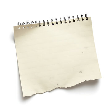Torn sheet of notebook paper from spiral binder in neutral color  