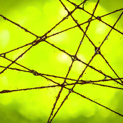 Wet Threads. Abstraction of wet threads with water drops