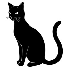 black cat vector illustration on white background 