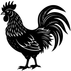 rooster vector illustration on white background 
