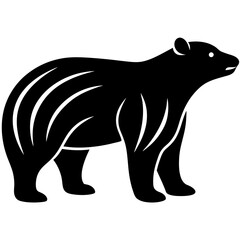 vector illustration of a bear