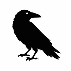 Fototapeta premium Black Raven Silhouette on White Background