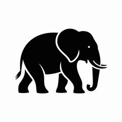 Fototapeta premium Elephant Silhouette on White Background
