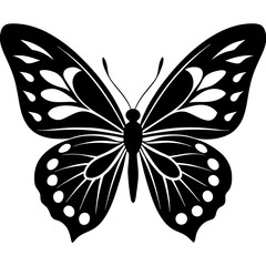 butterfly on white background