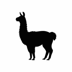 Llama Silhouette on White Background