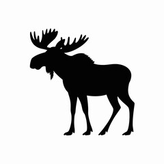 Moose Silhouette on White Background