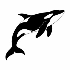 Obraz premium Orca whale silhouette illustration on white background