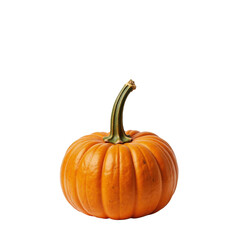 Obraz premium Isolated Pumpkin With Natural Stem on White Background