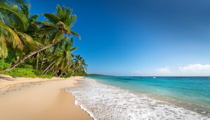 a serene tropical beach features soft sand and gentle waves lapping at the shore surrounded by tall palm trees under a bright clear sky perfect for relaxation and escape