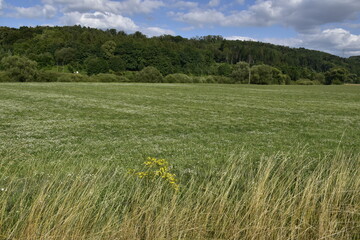 Landschaft und Ausblick bei Einbeck