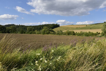 Landschaft und Ausblick bei Einbeck