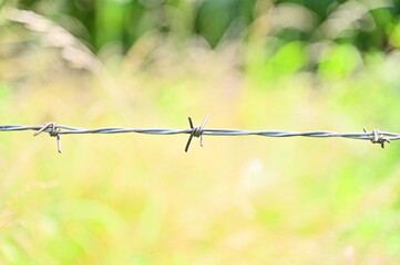 Barbed Wire