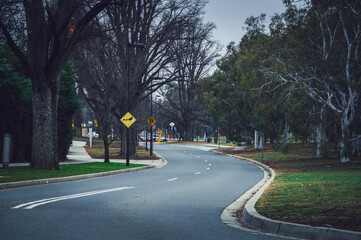 The photo showcases the beautiful scenery on both sides of the Lake Burley Griffin