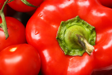 Fresh red bell pepper closeup. Juicy vegetable with vibrant green stem. Healthy natural food background. Tomatoes in the frame. Ripe and organic ingredients for cooking and salad. Macro perspective.