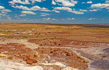 Petrified Forest National Park is a national park of the United States in Navajo and Apache...