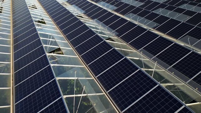  Modern greenhouse designed for growing fresh vegetables, equipped with roof-mounted photovoltaic solar panels providing renewable energy, sustainable agriculture technology.