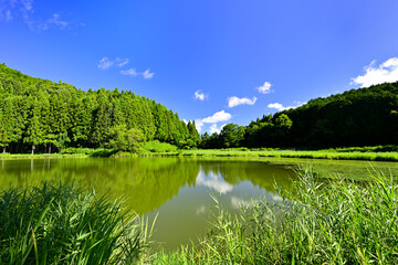 新緑に包まれた高山の池　龍王ヶ渕
