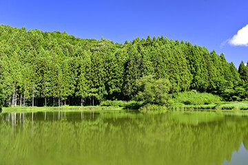 新緑に包まれた高山の池　龍王ヶ渕