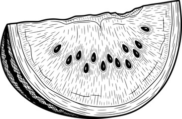 Obraz premium Watermelon slice with seeds in hand-drawn style