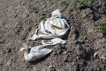 Old, fabric sandbags with visible tears are sunken into dry, loose earth, serving as erosion barriers or temporary support on a construction or landscaping ground site