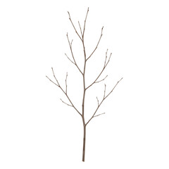 Minimalist winter branch for natural decor