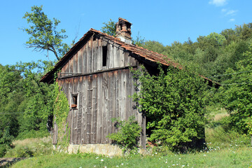 A rustic wooden cottage with red tile roof and crumbling chimney sits in overgrown grass with wild...
