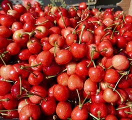 Fresh cherries displayed for sale in sunny outdoor farmers market