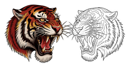 Obraz premium Illustration of two tiger heads one colored and the other in black and white outline