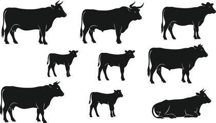Silhouette Vector Set of Cows and Calves in CAD Style, Standing and Lying Poses, Livestock Icons, Farm Animal Concept Illustration