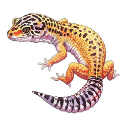 Obraz premium Vibrant Leopard Gecko Pet Reptile Detailed Illustration Isolated White Background
