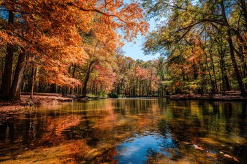 Autumnal forest stream reflects vibrant fall foliage