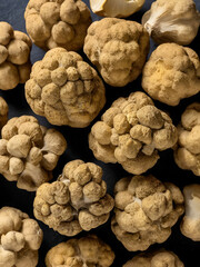 Group of white truffles.