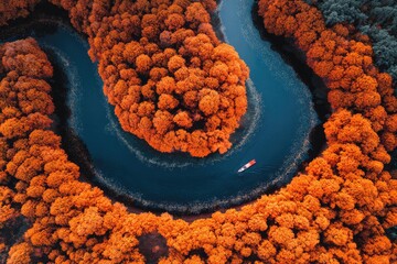 Autumnal river bend, aerial view (2)