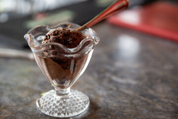 Single Chocolate Ice Cream Scoop