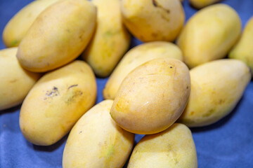 Fresh Yellow Mangos