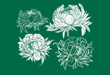 paeonias seamless floral pattern