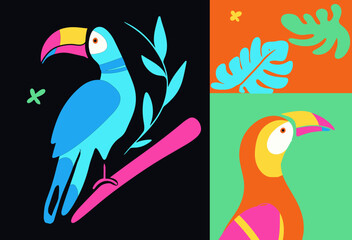 vector illustration of a tucan
