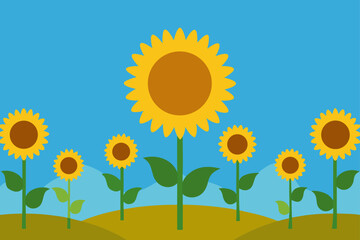 Bright yellow sunflowers bloom under a clear blue sky