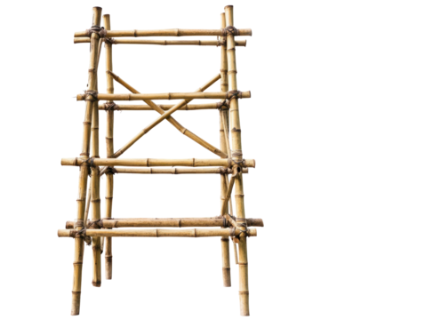 Bamboo Ladder Isolated